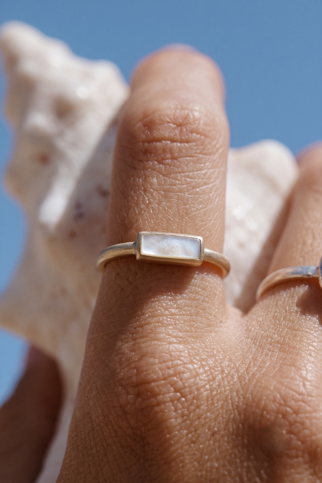 Shell Ring