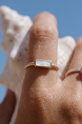 Shell Ring